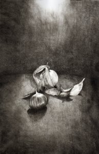 mandarino e castagna 2015puntasecca su lastra di plexiglass 300 x 200 mm carta fabriano rosaspina 220 gr 50 x 35 cm 